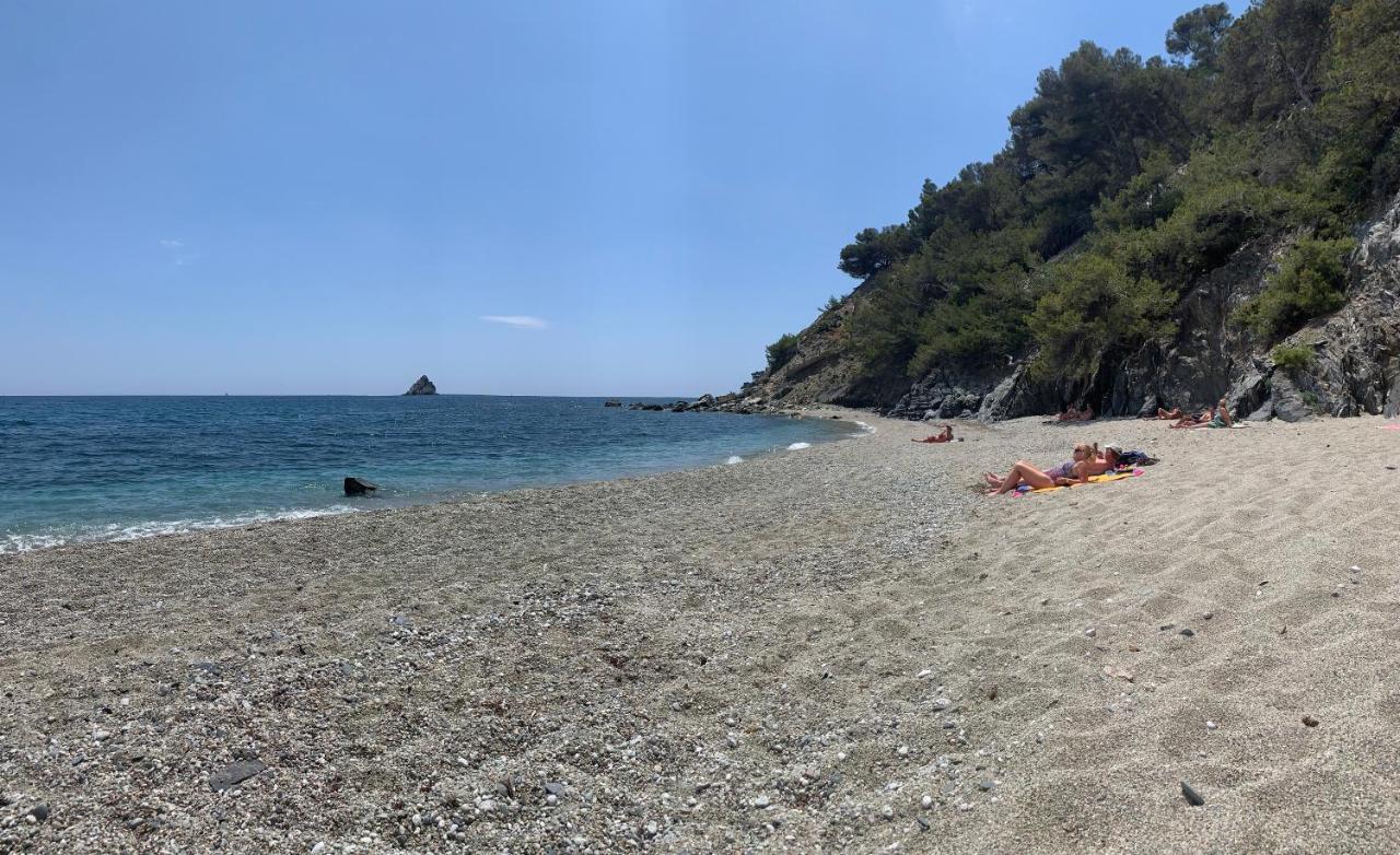 Villa Jacqueline La Seyne-sur-Mer Zewnętrze zdjęcie